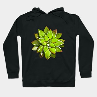 Succulents and plants mom 11 Hoodie